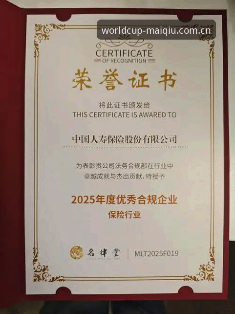 世界杯买球平台v2.0.8更新详解：2025新版功能与合规投注全指南